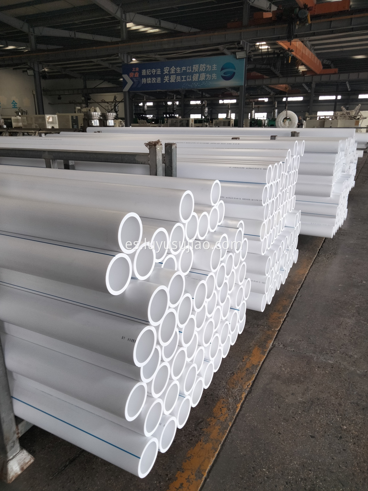 PPR Cold water supply